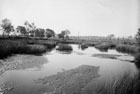 Causeway Bridge and mudflats