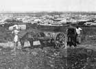 Kalgoorlie from Mt Charlotte 1902