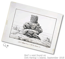 Image: Drawing of a bird's nest found on Dirk Hartog's Island, September 1818