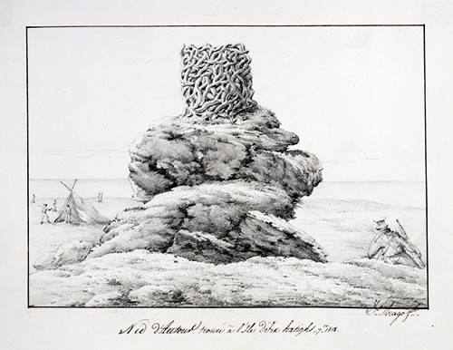 Image: Drawing of bird's nest found on Dirk Hartog's Island, September 1818