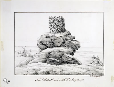 Image: Drawing of a bird's nest found on Dirk Hartog's Island Sept 1818