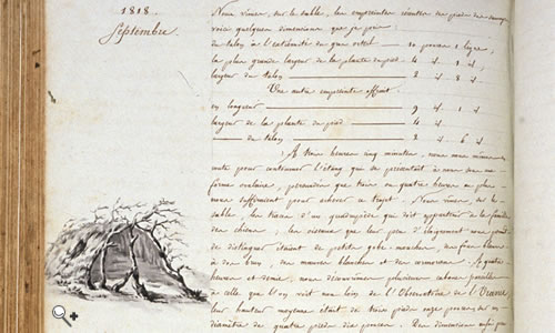 Image: Page 278 of Gaimard's journal dated September 1818